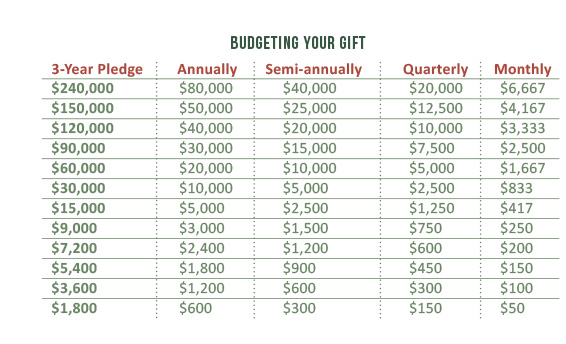 Budget your gift